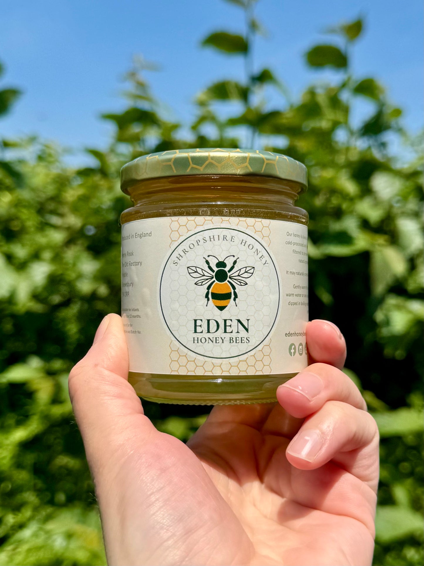 Spring Honey