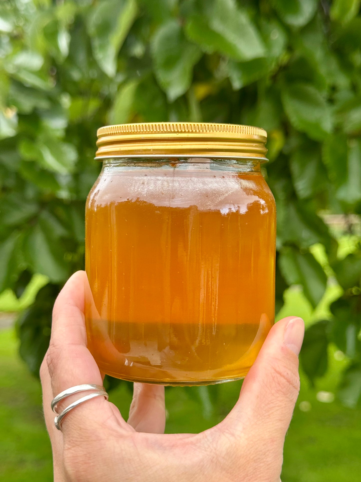Himalayan Balsam Honey