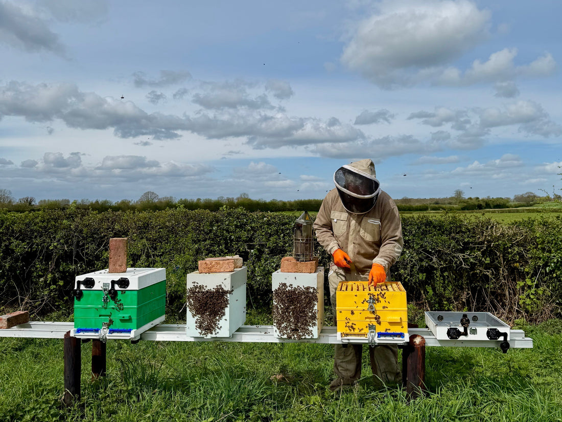 Spring beekeeping in North Shropshire during April 2026
