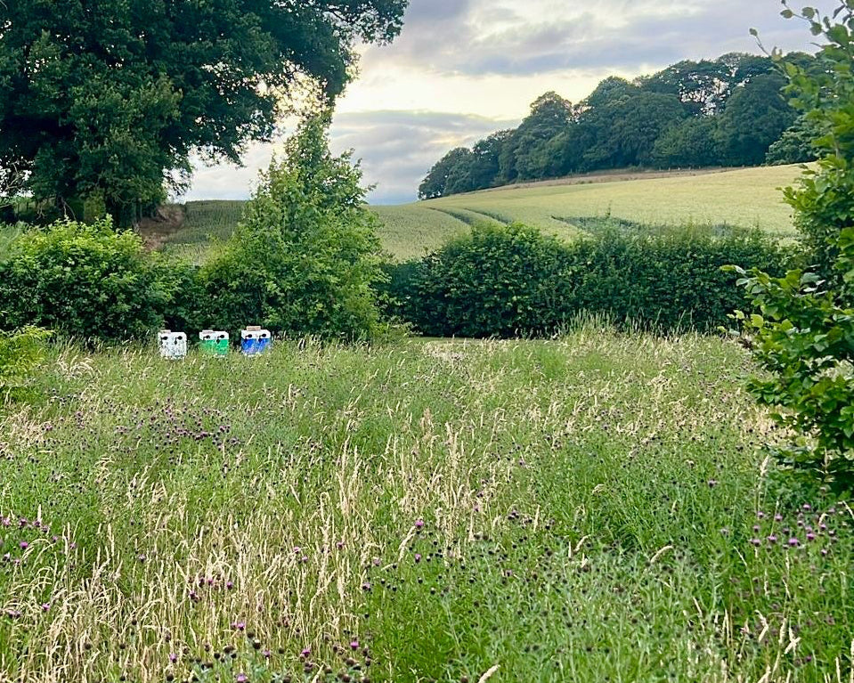 Lush green field with a large tree and rolling hills under a cloudy sky.